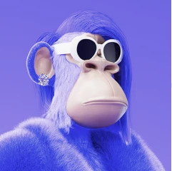 From backend logic to front-end brilliance.